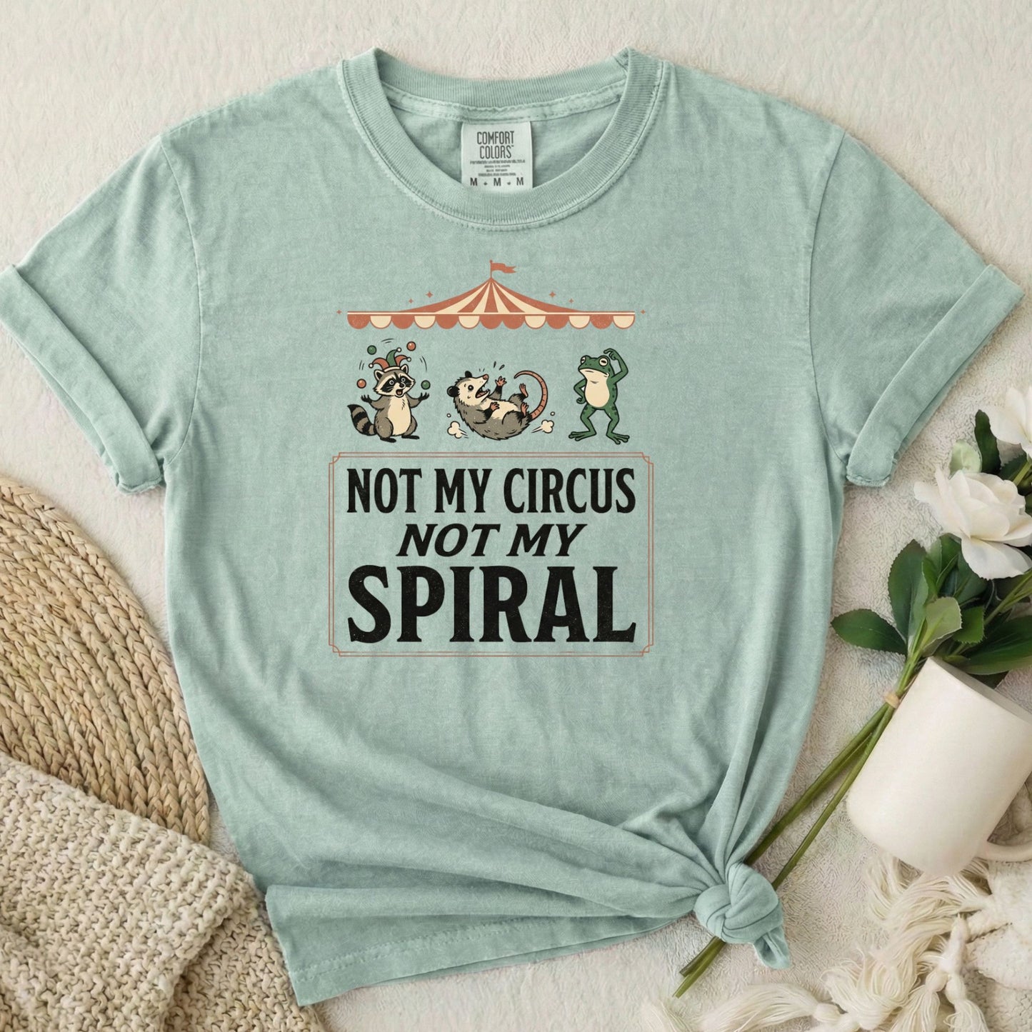 Not My Circus Not My Spiral