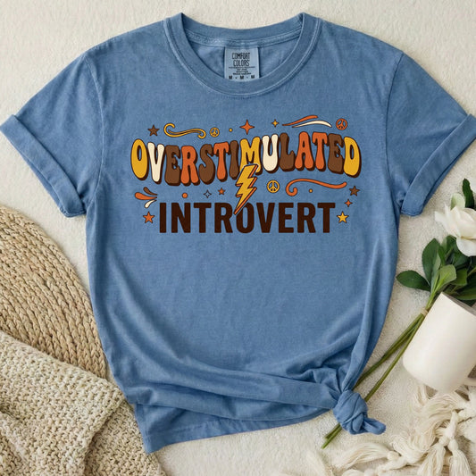 Overstimulated Introvert