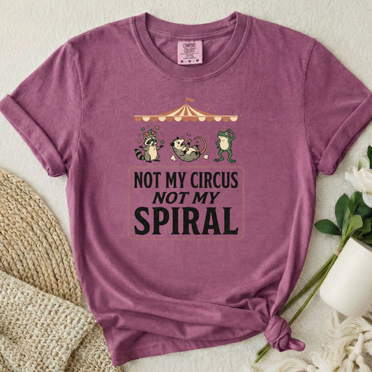 Not My Circus Not My Spiral
