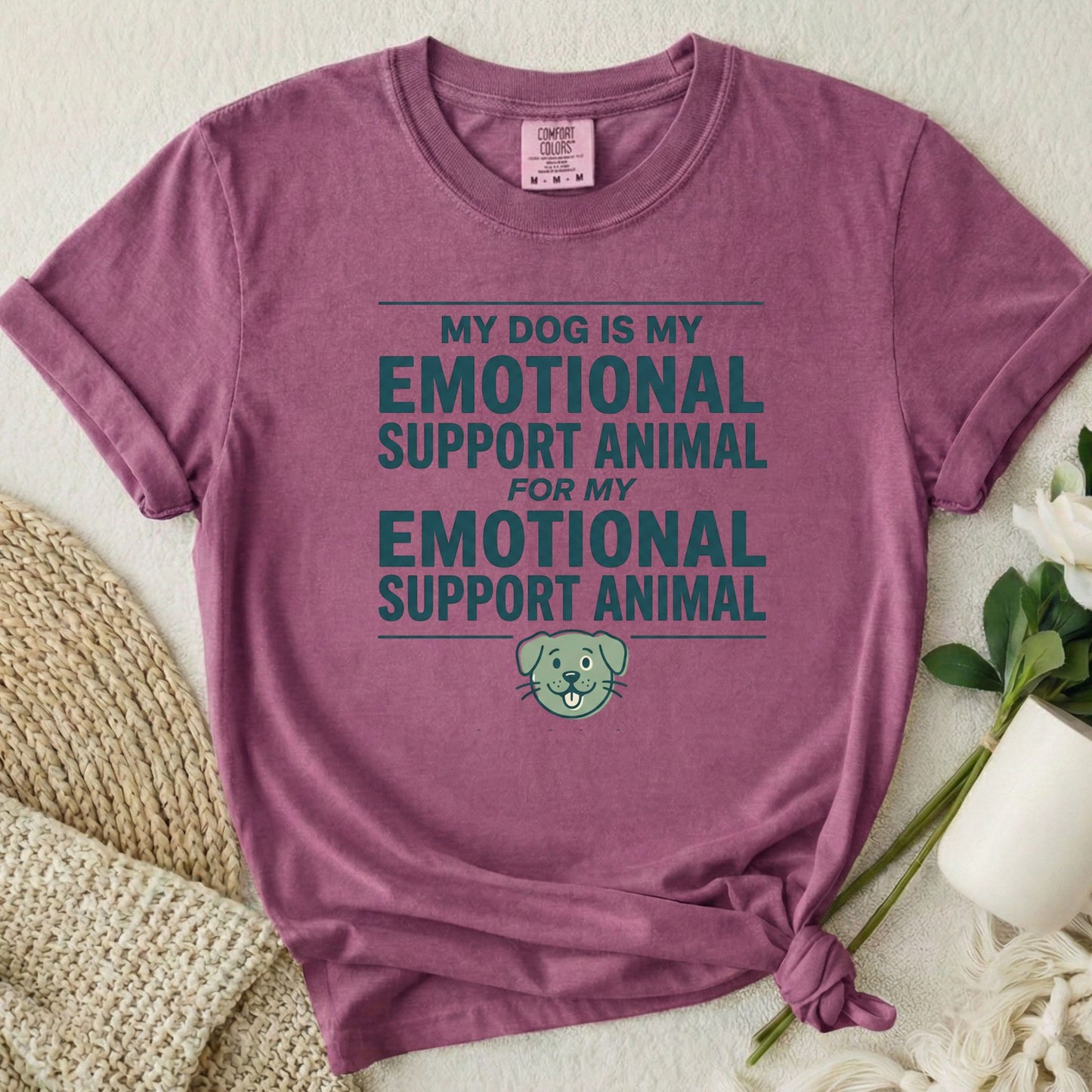Emotional Support