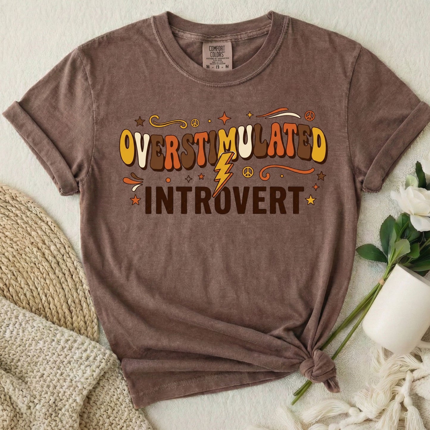 Overstimulated Introvert