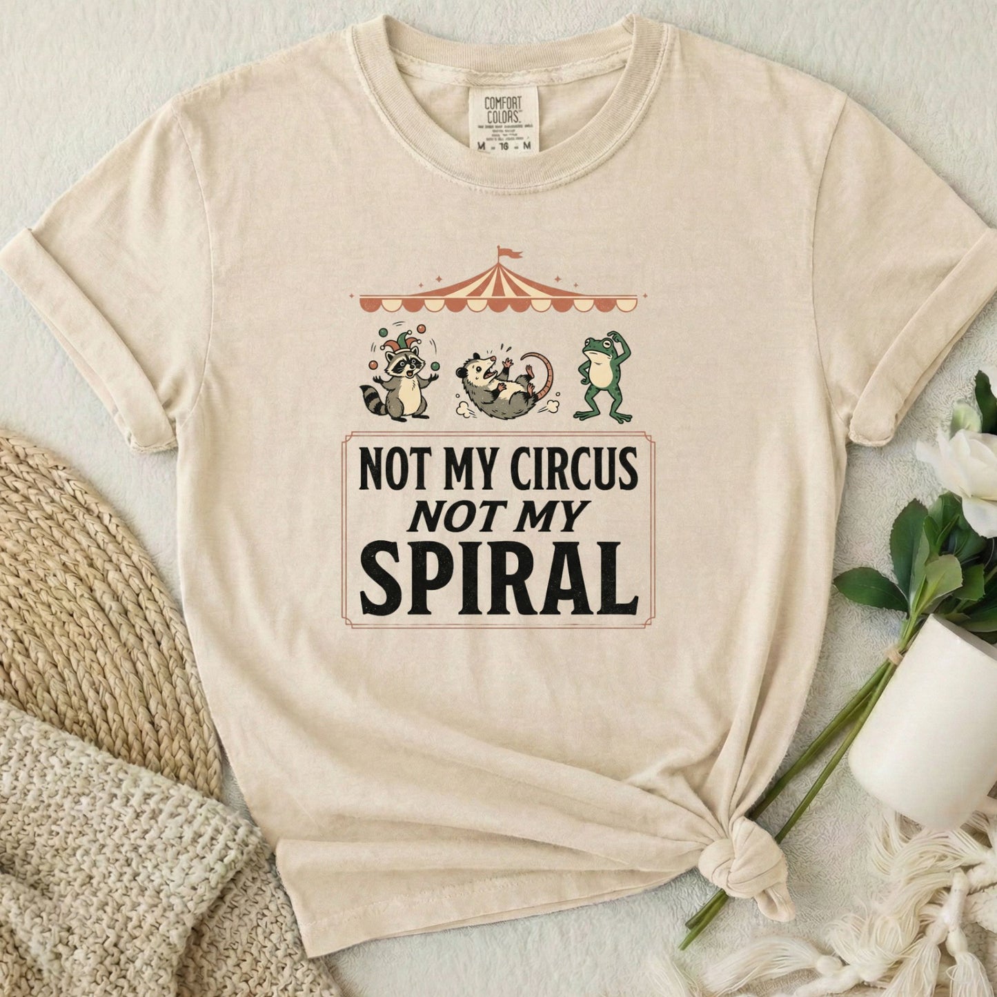 Not My Circus Not My Spiral