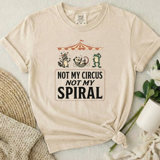 Not My Circus Not My Spiral